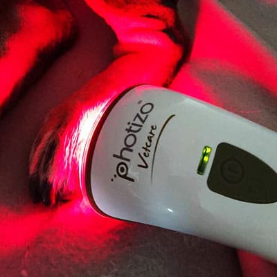 Close up picture of laser work on dog foot