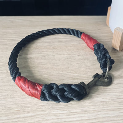 Clip Lead picture