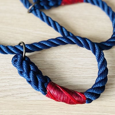 Extra-lead Lead image