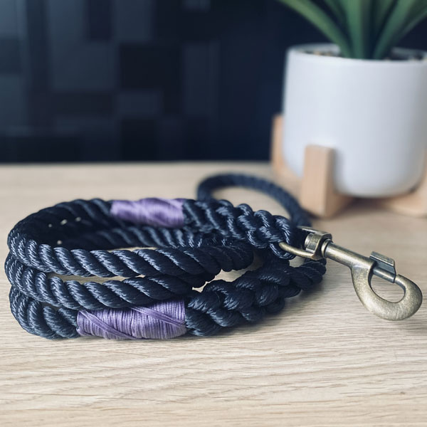 Clip Lead picture