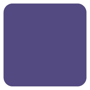 Purple dog lead