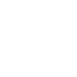 White dog lead