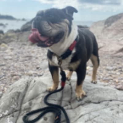 Pic of Winston on the beach
