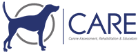 Care Vet Logo